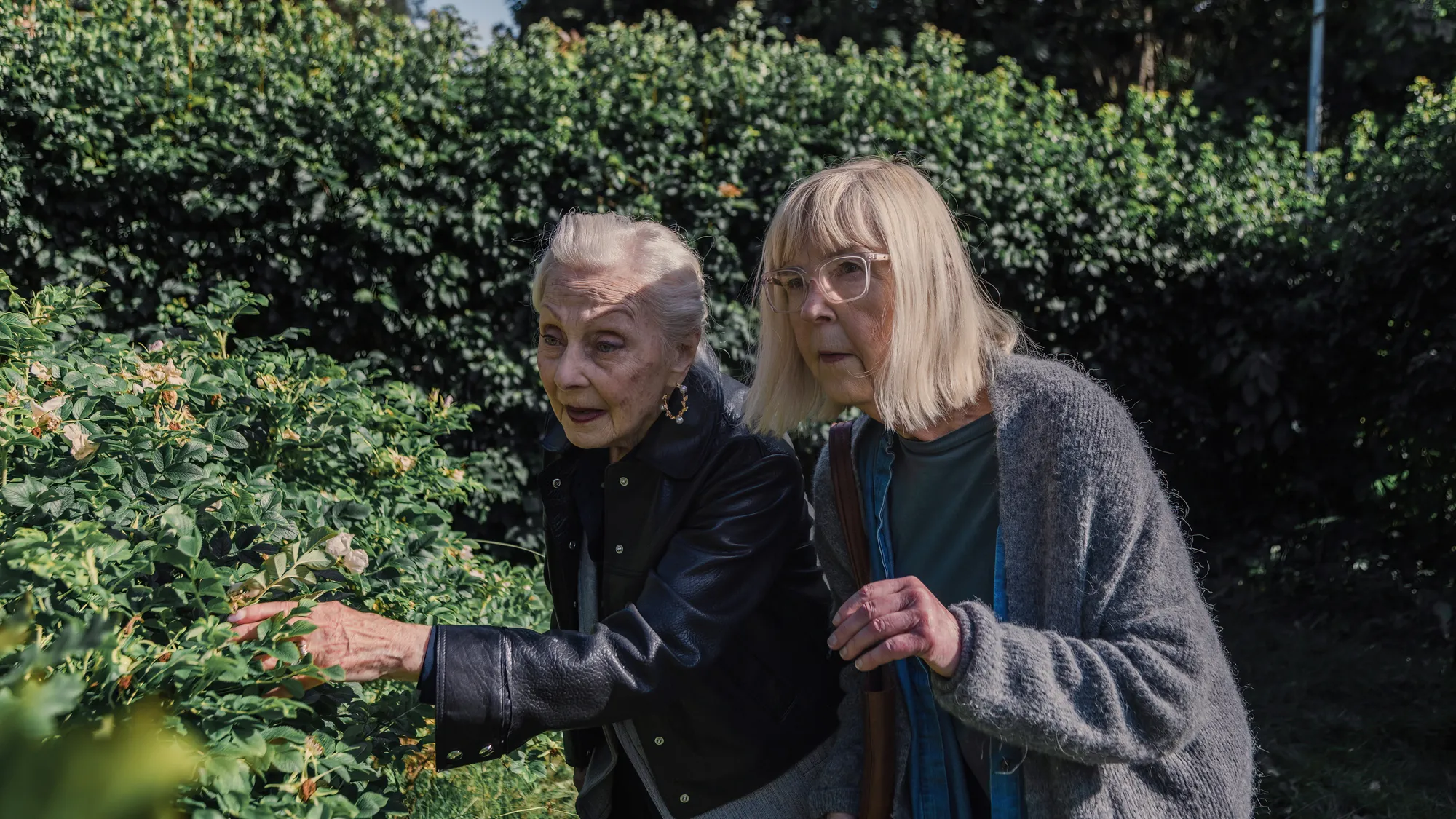 Teräsleidit - kuin viimeistä päivää